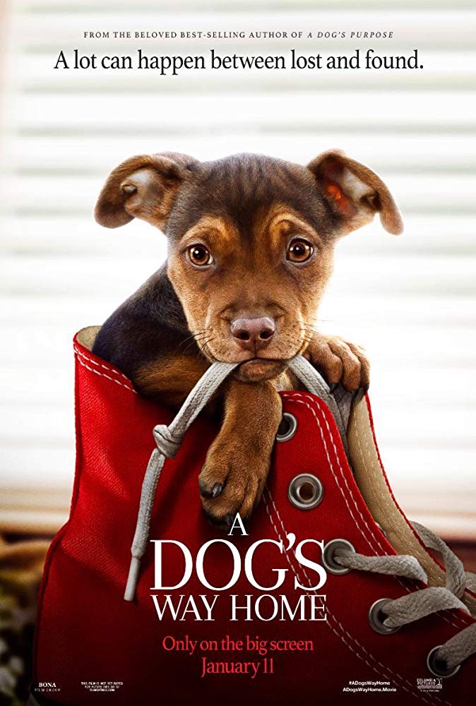 A Dog’s Way Home Full Movie in Hindi Download For Free 300MB 480P