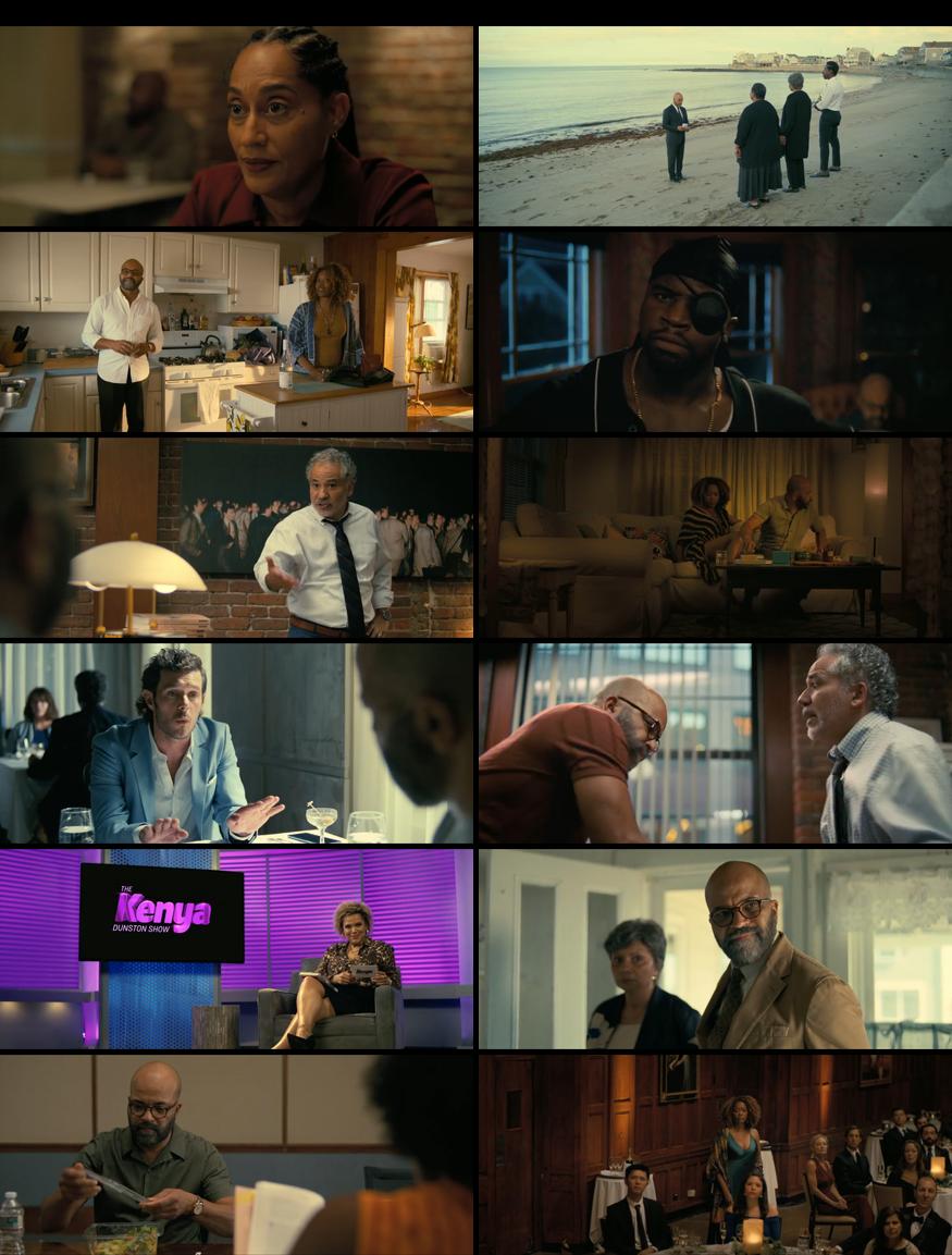 American Fiction Download in Hindi 480P