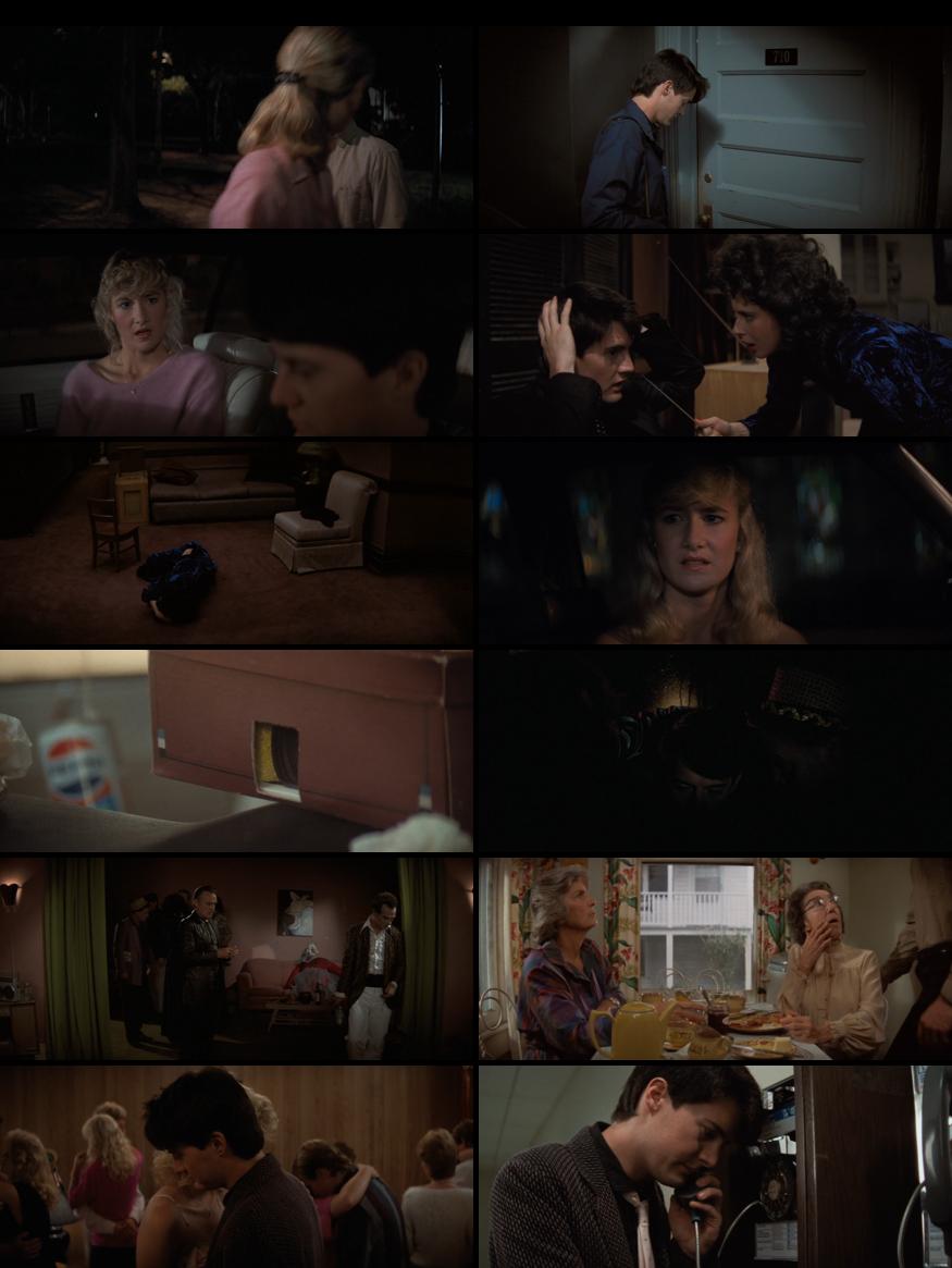 Blue Velvet 1986 Full Movie in Hindi Download