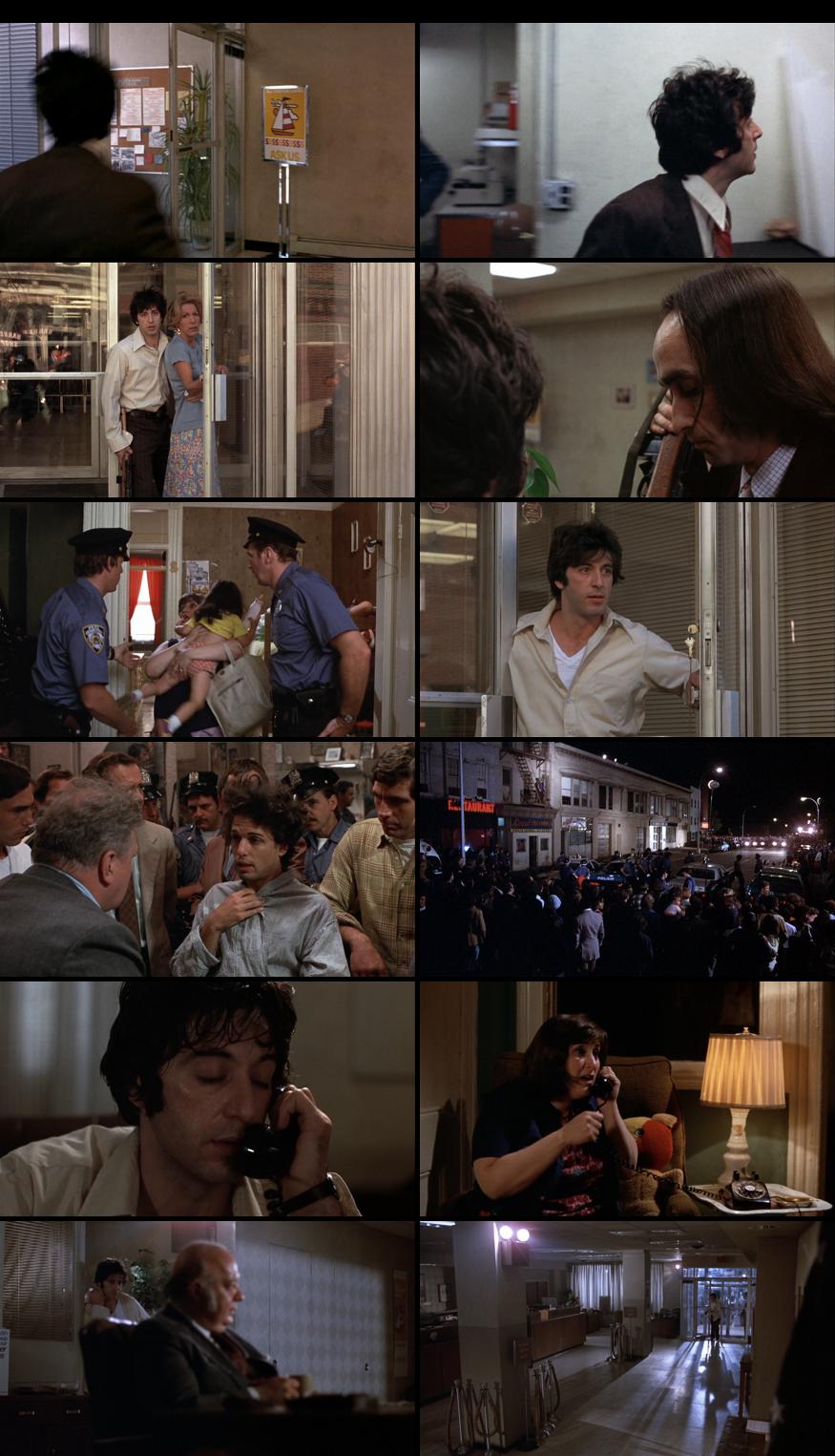 Dog Day Afternoon Download 1080P