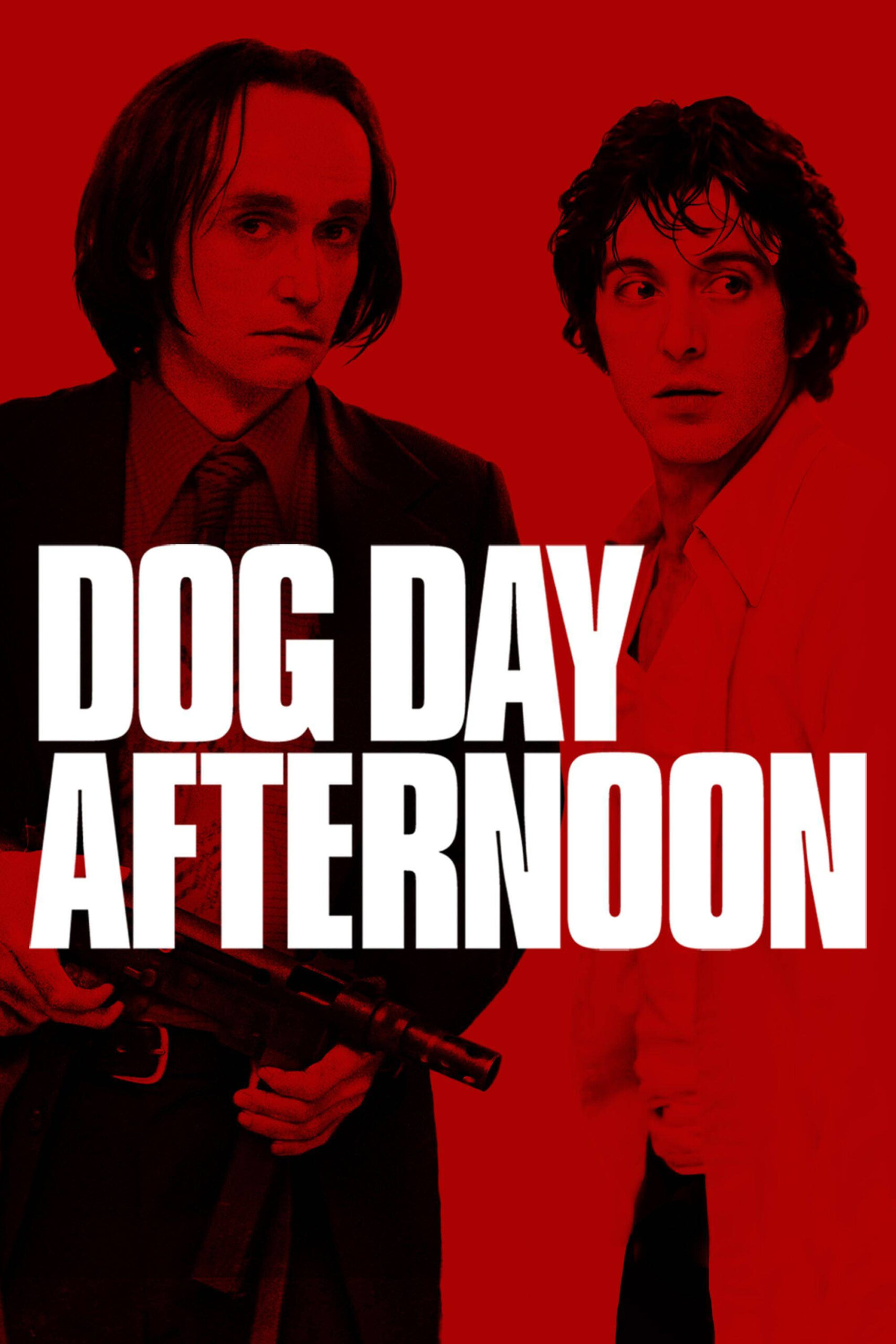 Dog Day Afternoon in Hindi Download