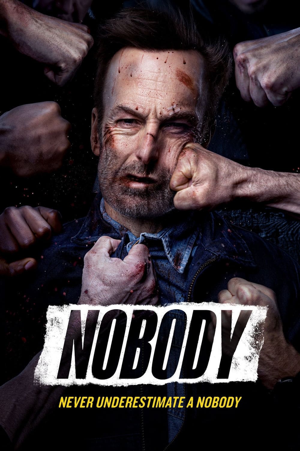 Nobody 2021 in Hindi Download 720P