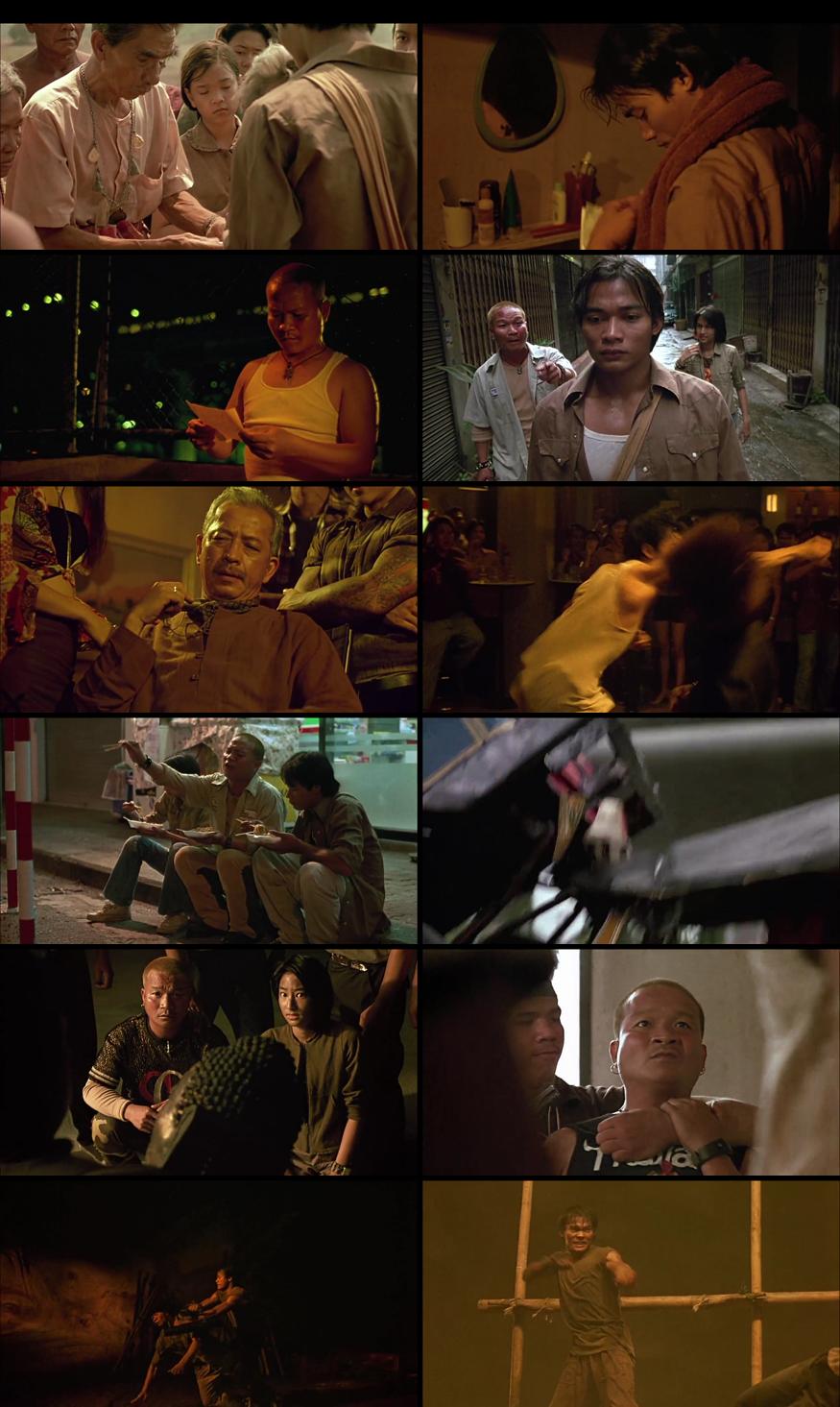Ong-Bak: The Thai Warrior 2003 Movie Download 720P