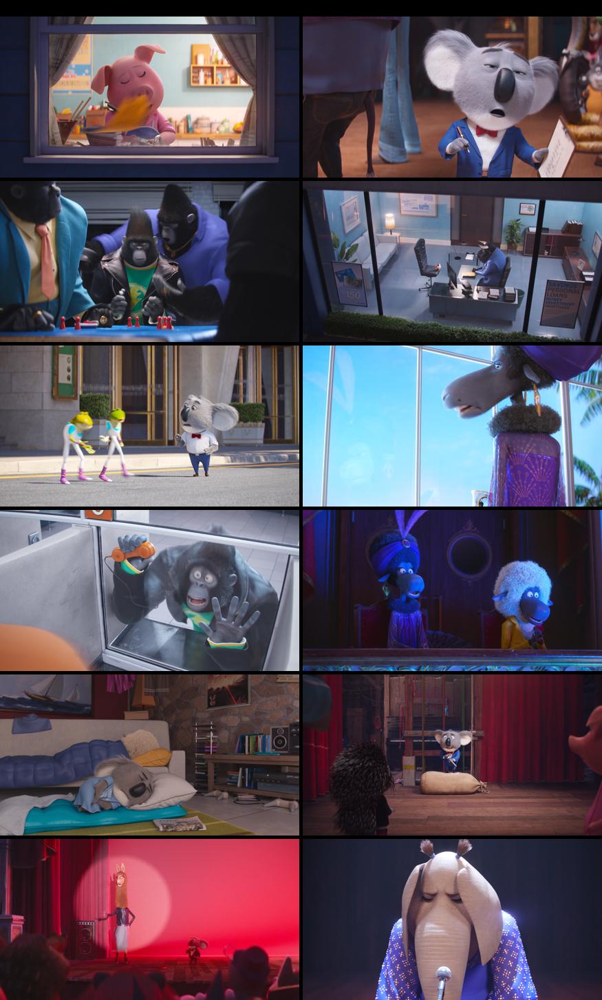 Sing 2016 Full Movie Free