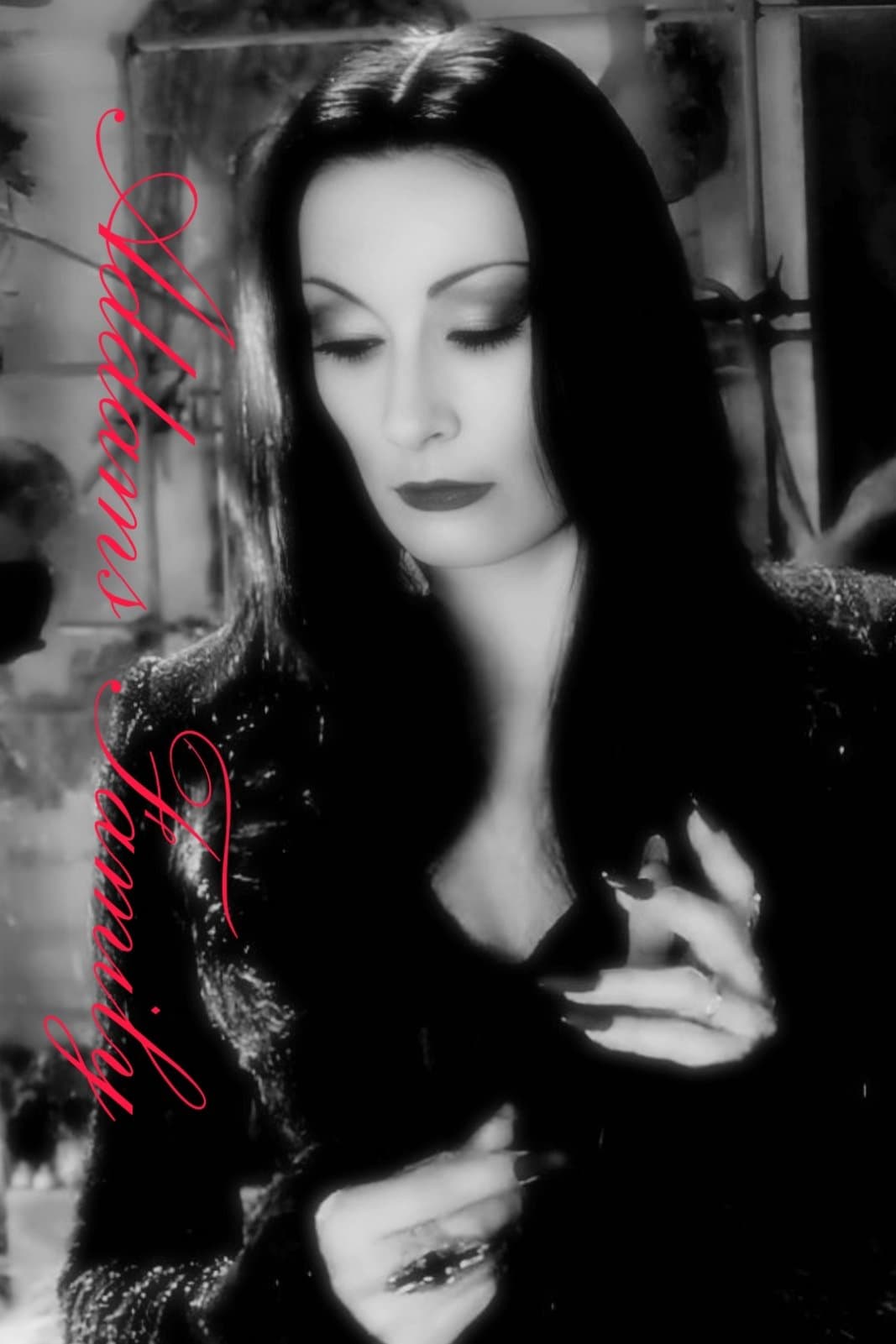 The Addams Family in Hindi 1080P