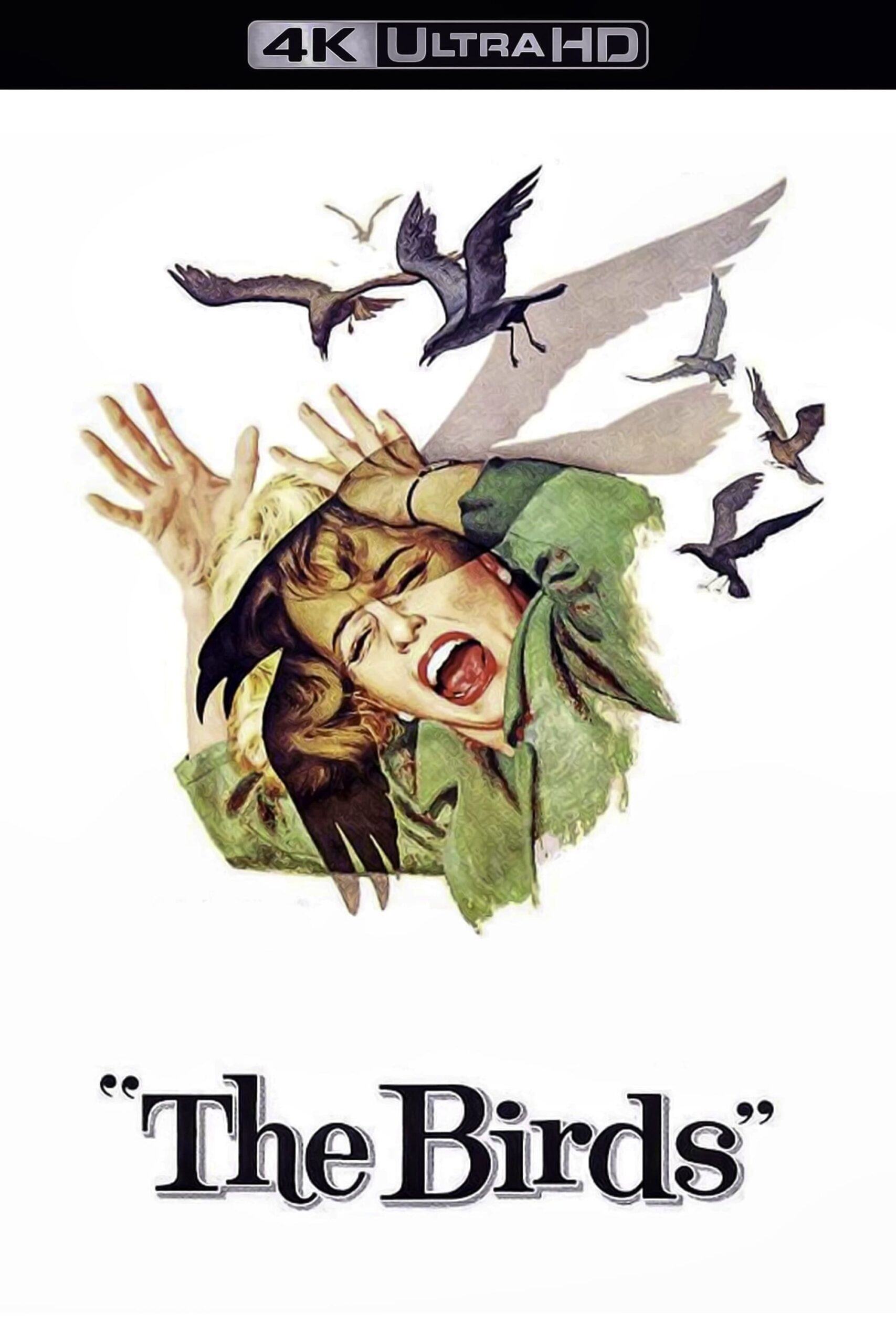 The Birds Movie Download 480P