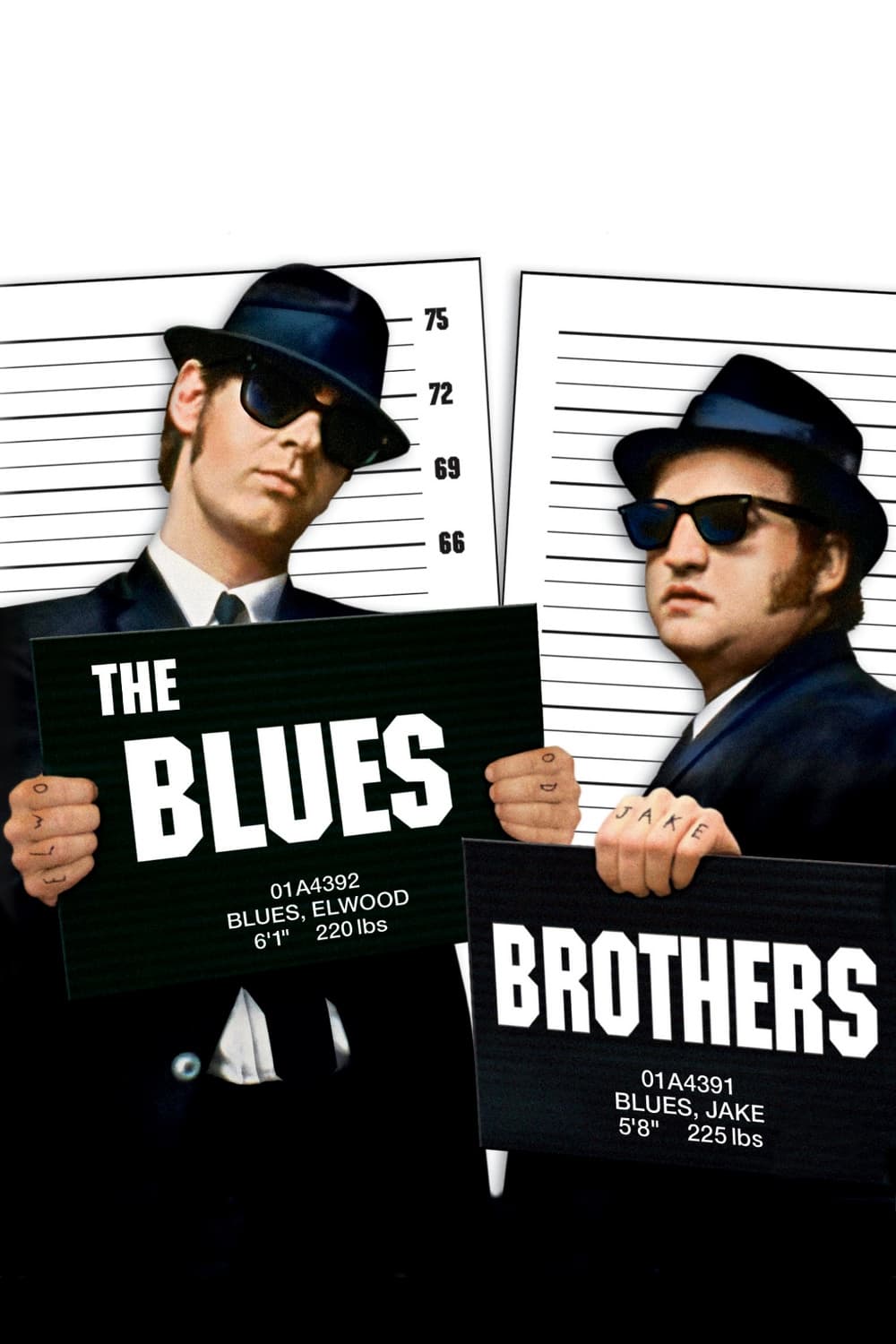 The Blues Brothers 1980 Download in Hindi 720P