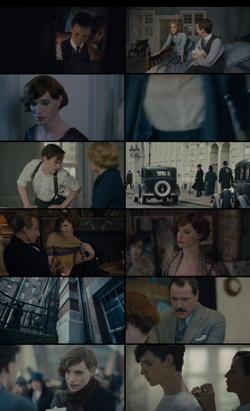 The Danish Girl Download in Hindi