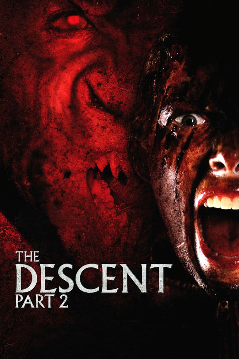 The Descent: Part 2 2009 Download in Hindi 720P