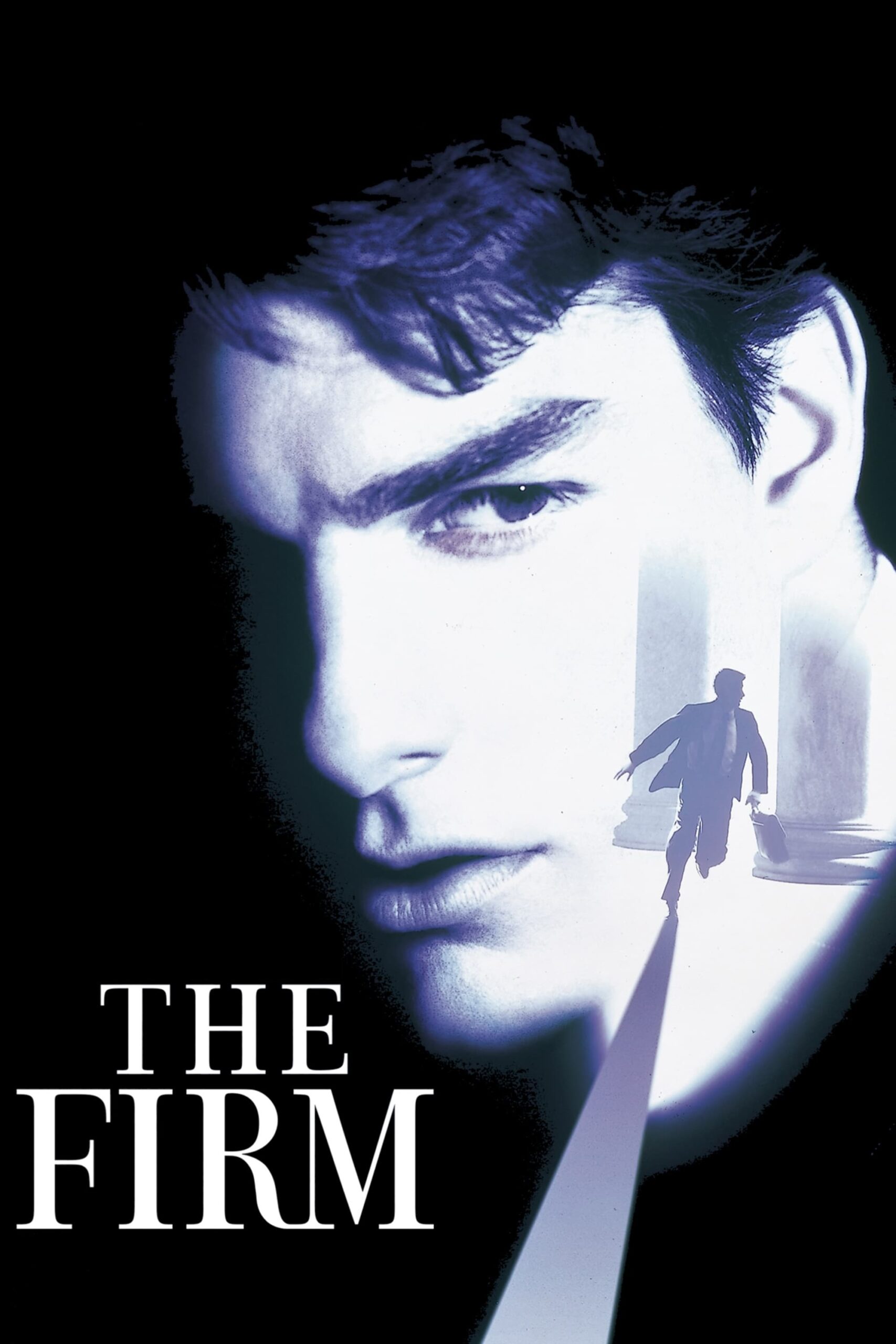 The Firm in Hindi Download 480P