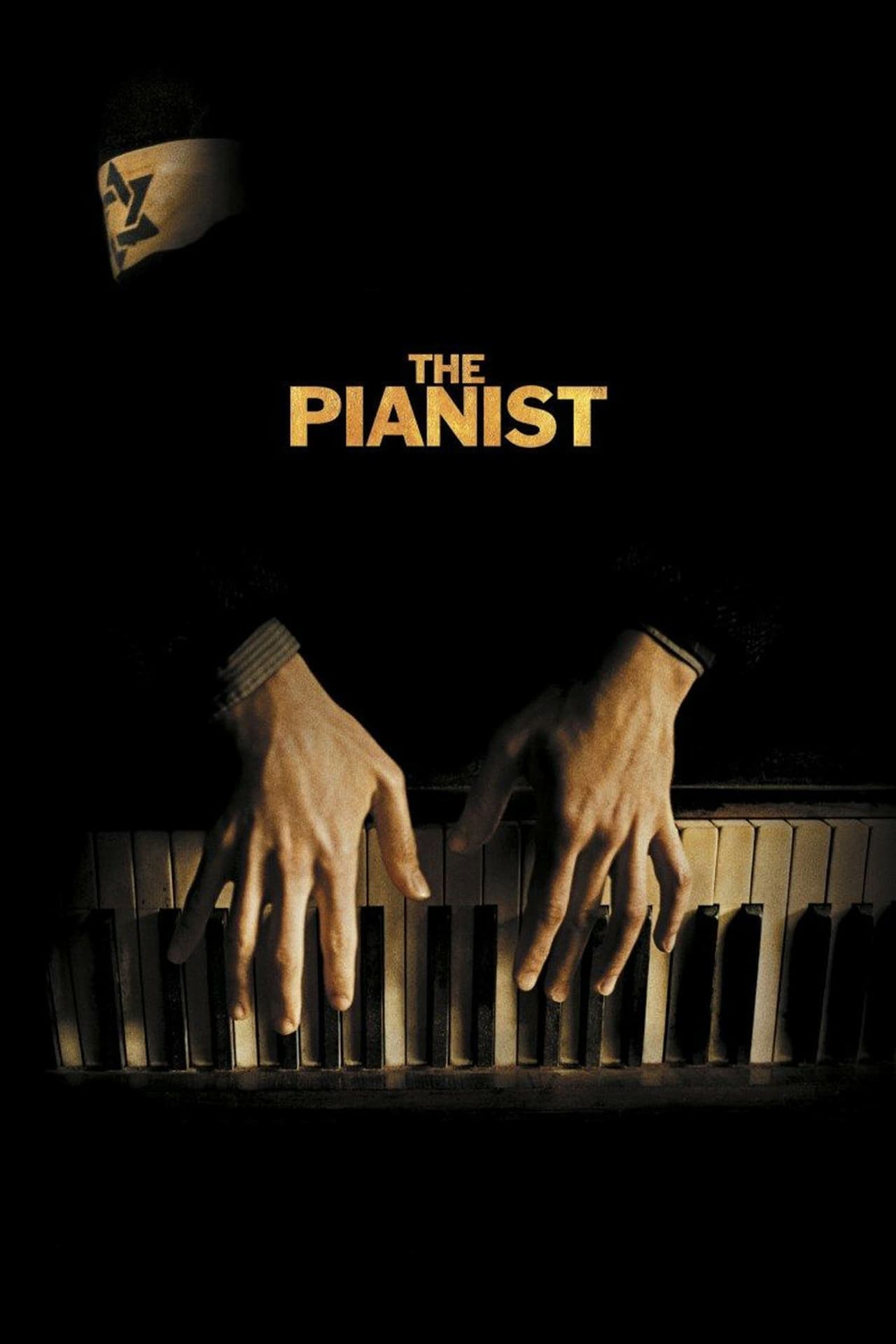 The Pianist in Hindi Download