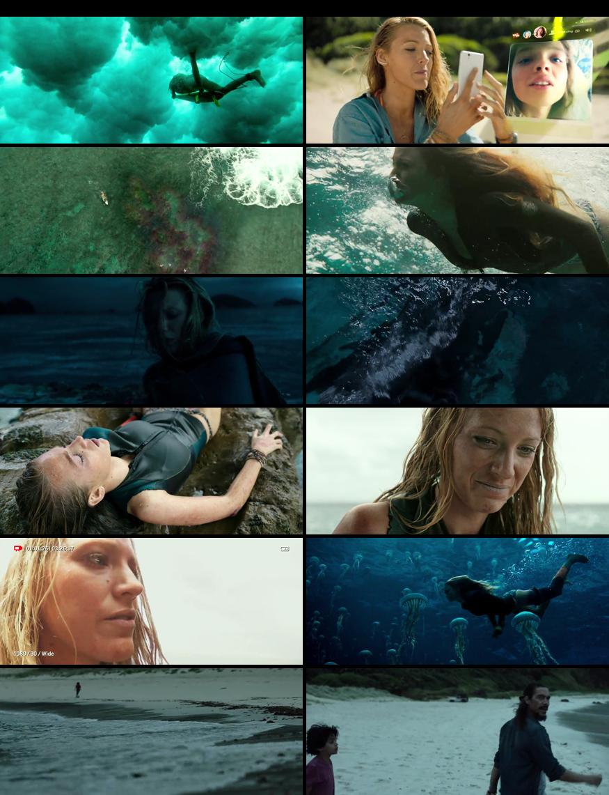 The Shallows Download