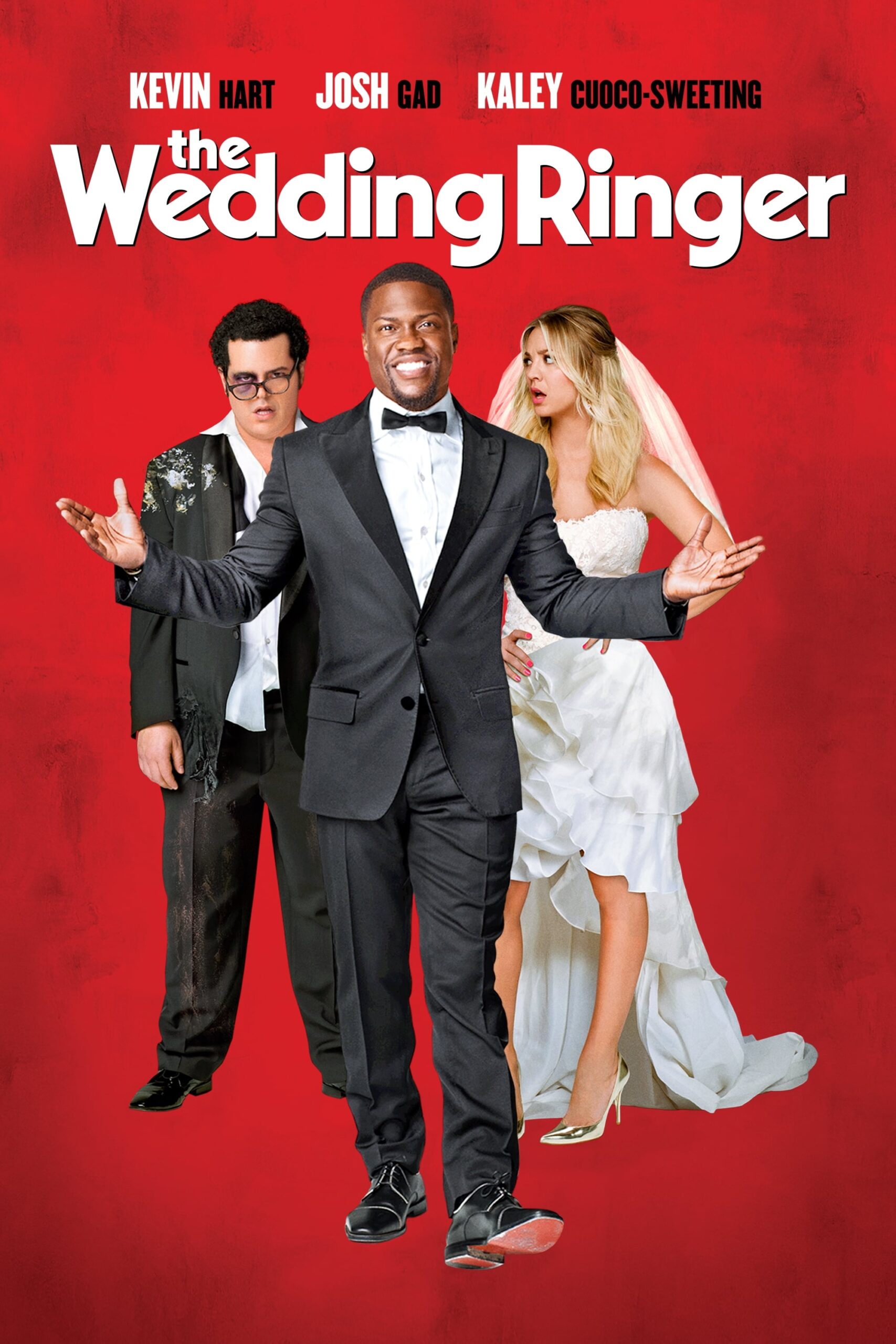 The Wedding Ringer Download Free 1080P