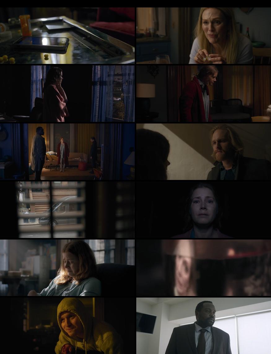 The Woman in the Window in Hindi 480P