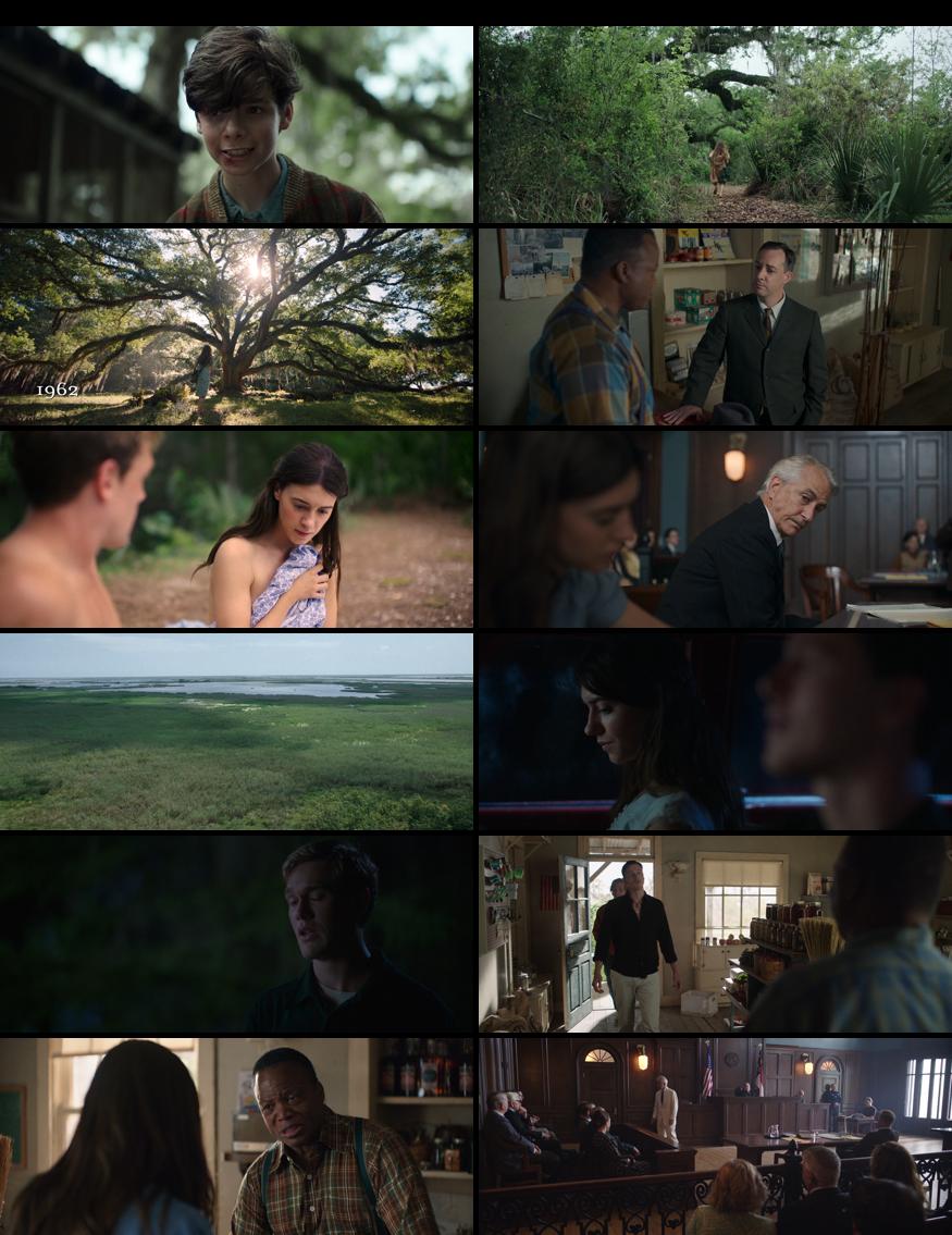 Where the Crawdads Sing Full Movie in Hindi Download