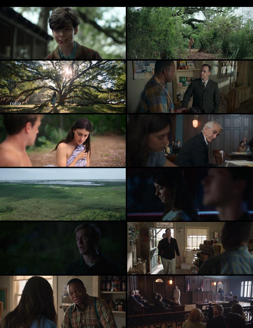 Where the Crawdads Sing Movie Download